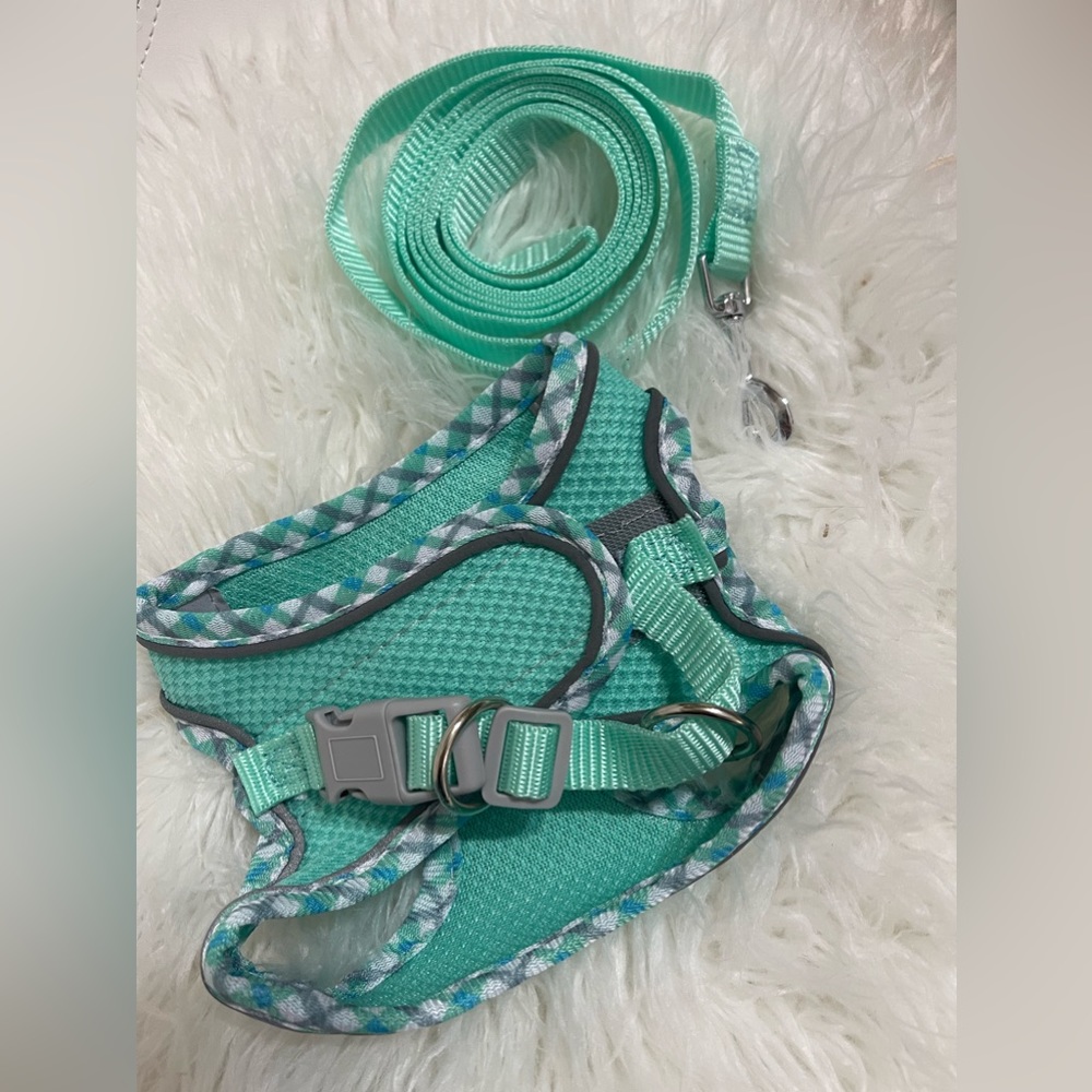 Cat harness & leash XS